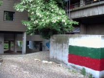 AUT_0164.JPG