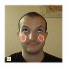 blush_smiley.png