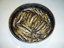 PIC_0447.JPG